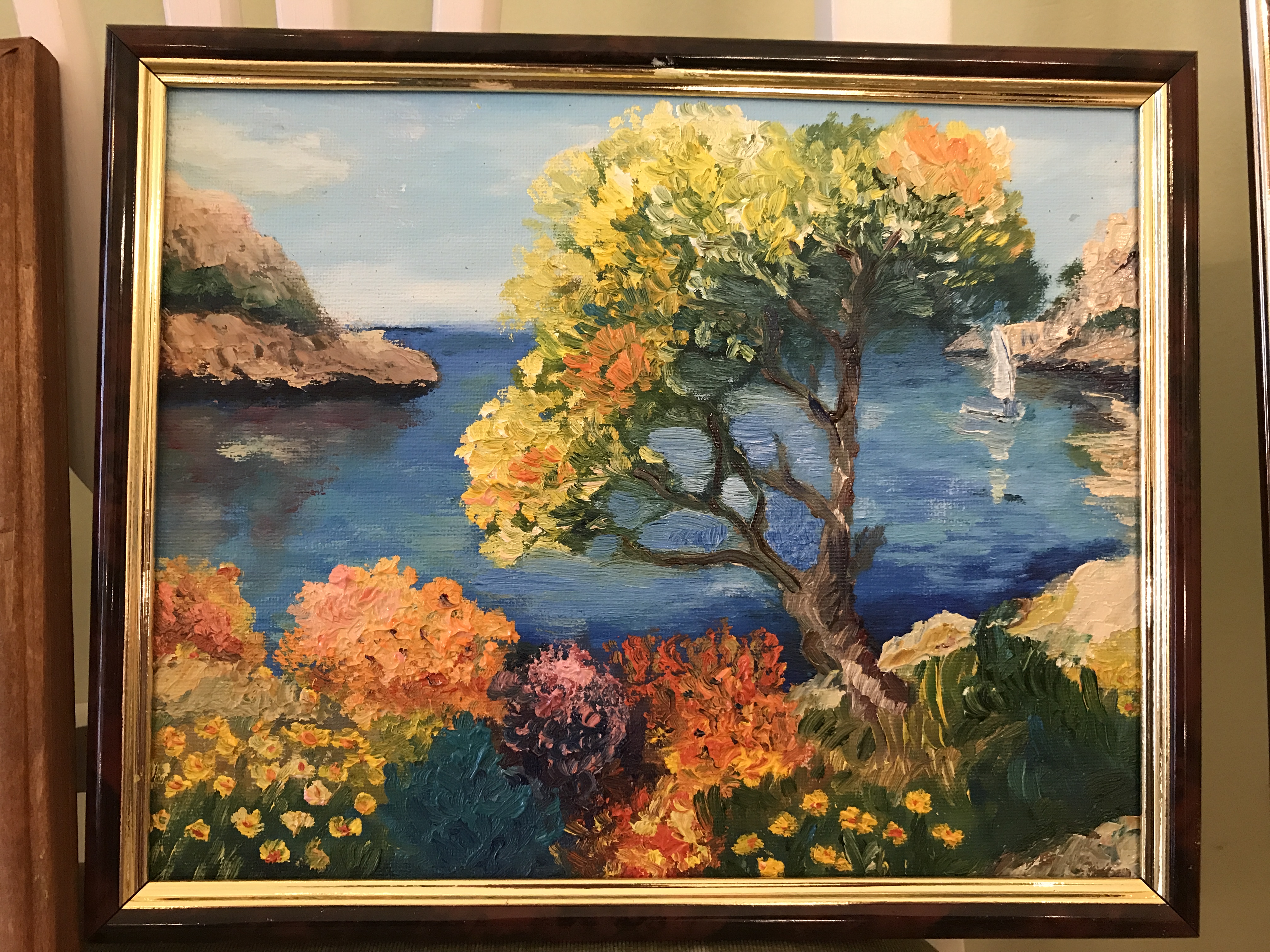 A tree on the seaside